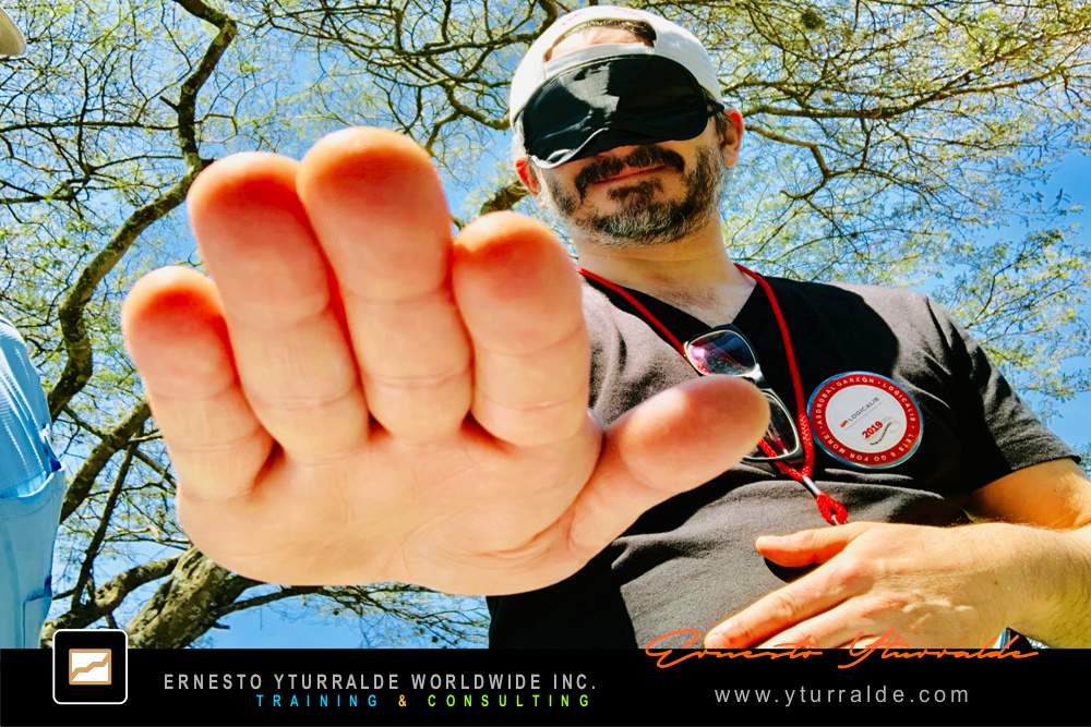 Team Building Talleres de Trabajo en Equipo